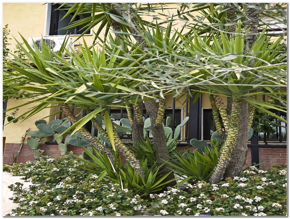 Hotel Veronese Cerignola Buitenkant foto